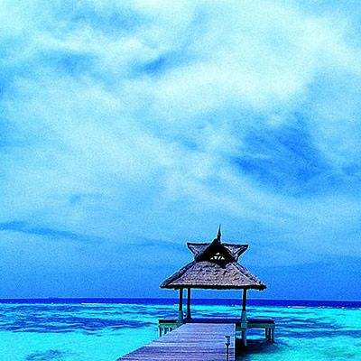 云开·全站APP登录入口