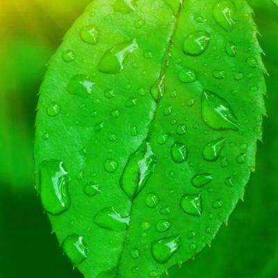 澳门太阳游戏网站